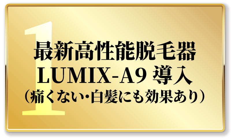 おすすめポイント1